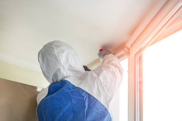 Mold Odor Removal Services